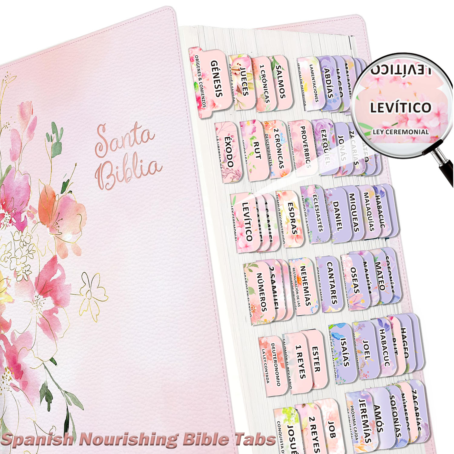 80pcs Spanish Bible Tabs-Soul  - Index Tab Divider 리뷰 및 가격