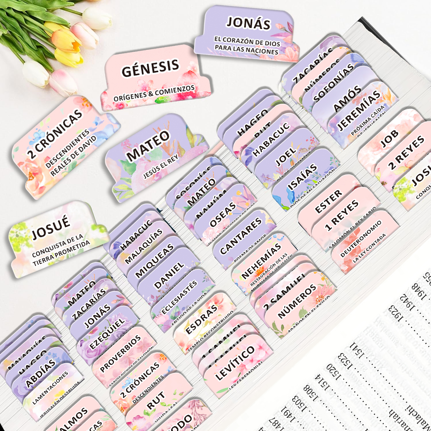 80pcs Spanish Bible Tabs-Soul  - Index Tab Divider 리뷰 및 가격