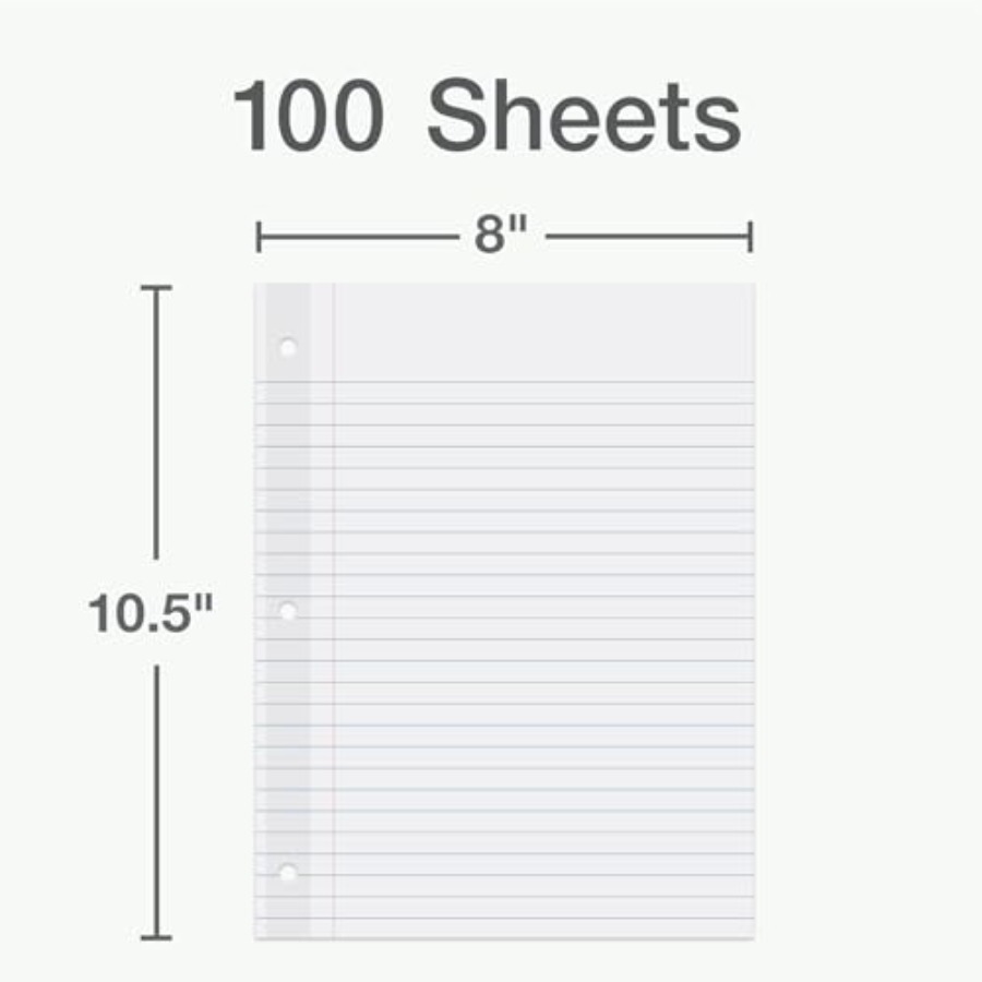 Reinforced Filler Paper, 8 x 1 - Paper Punch 3 Hole 리뷰 및 가격