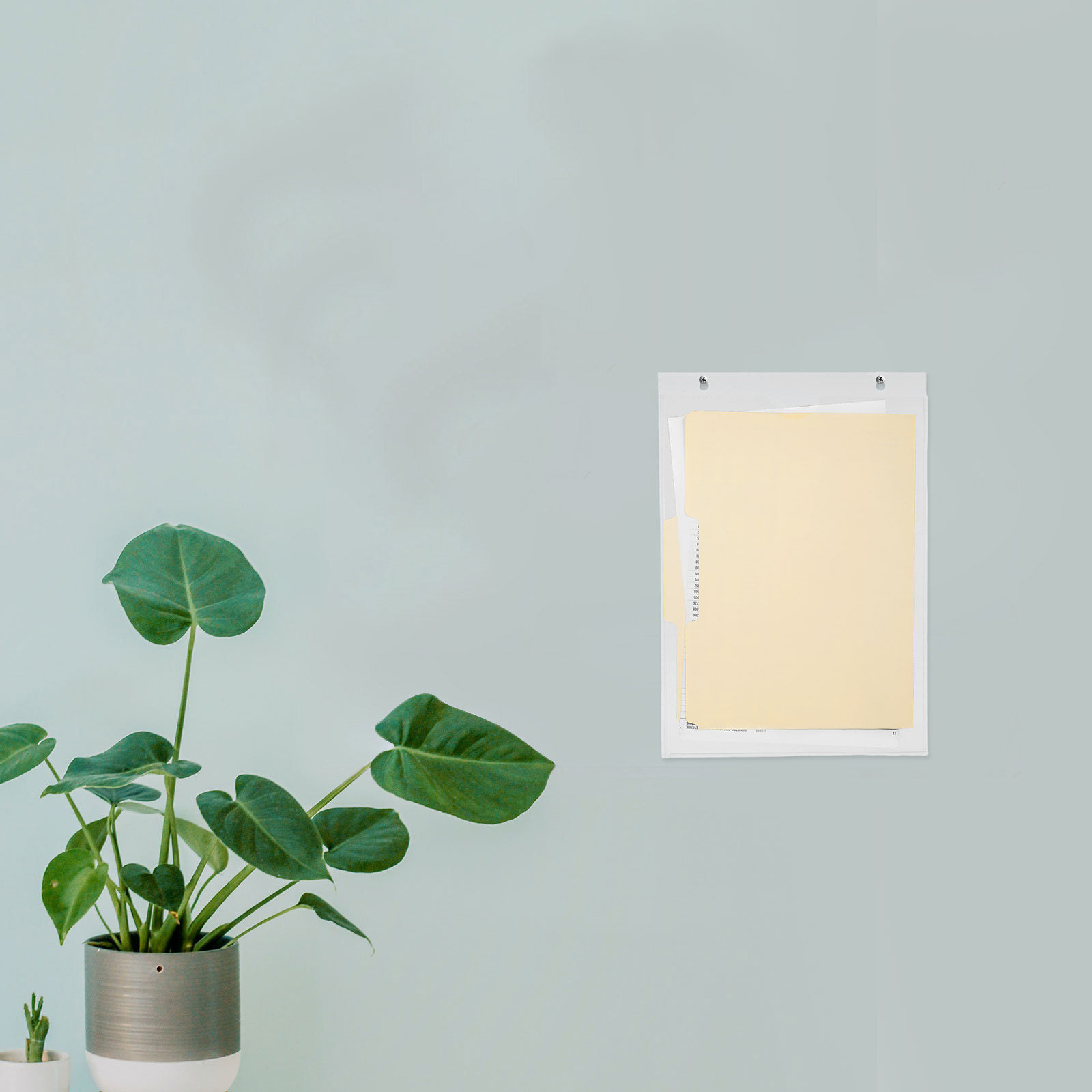 A4 Clear Wall Mounted Magazine - File Folder Hanging 리뷰 및 가격