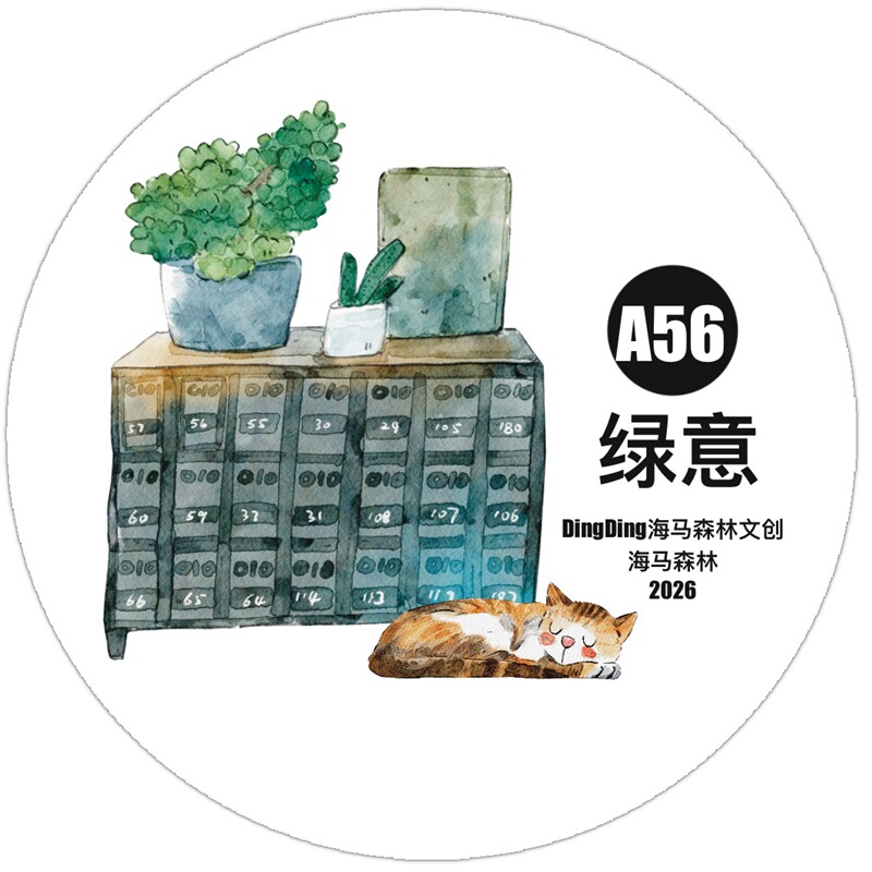 DingDing Studio Vintage Green  - Washi Tape Set 리뷰 및 가격