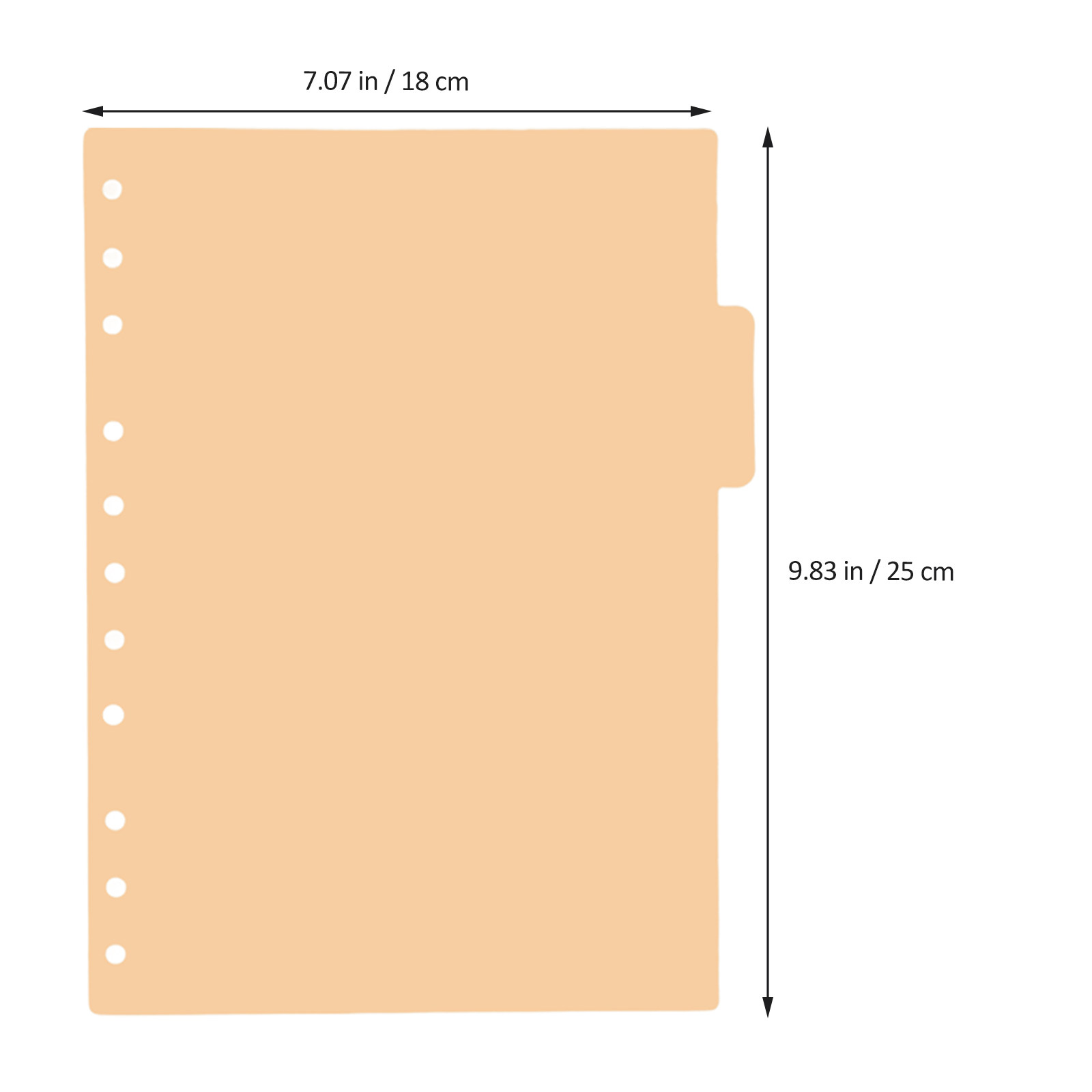 5Pcs Plastic Page Dividers B5  - Index Tab Divider 리뷰 및 가격