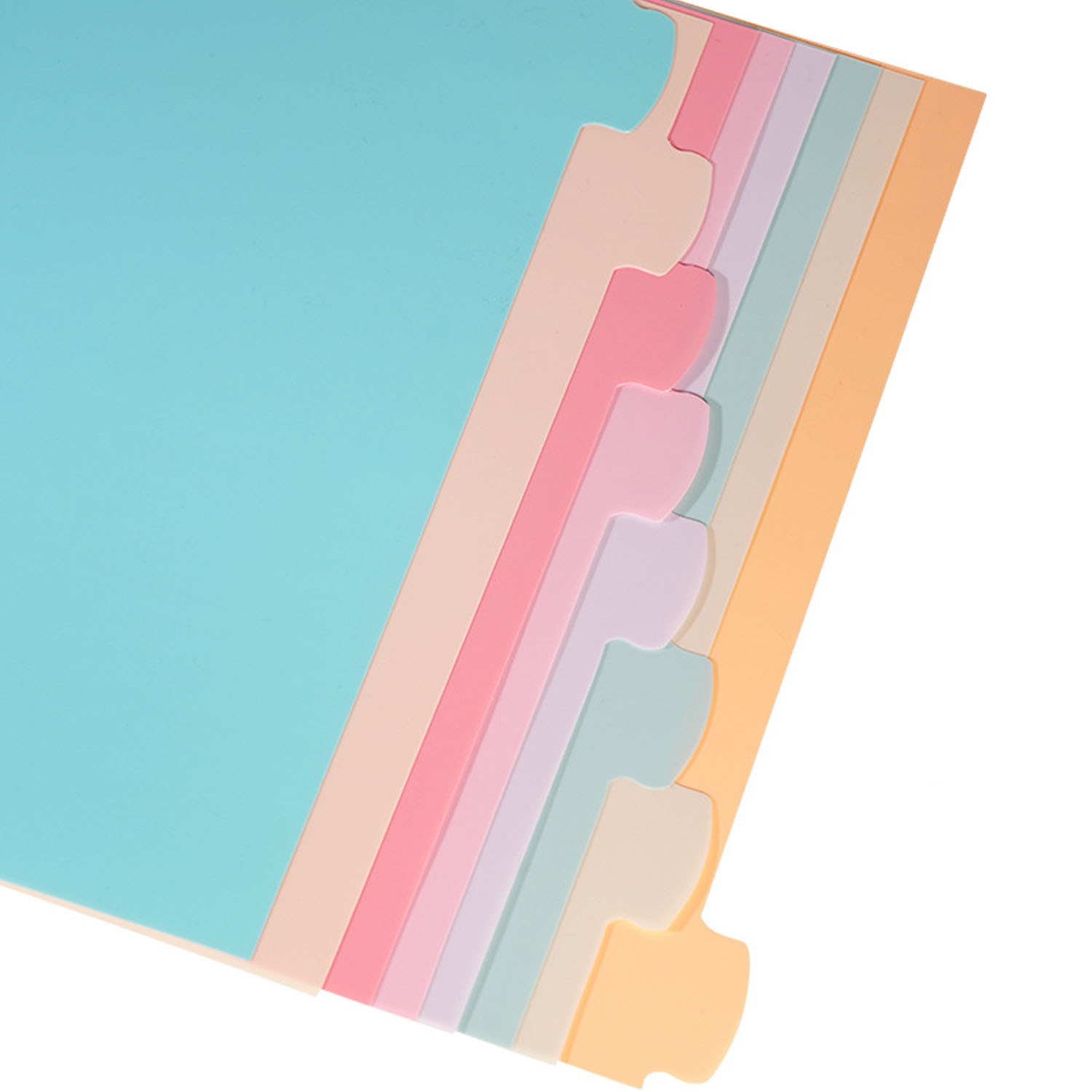 8 Tab Binder Dividers for 3 Ri - Index Tab Divider 리뷰 및 가격