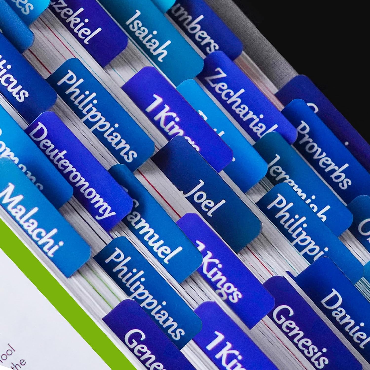 Bible Tabs for Women and Men E - Index Tab Divider 리뷰 및 가격