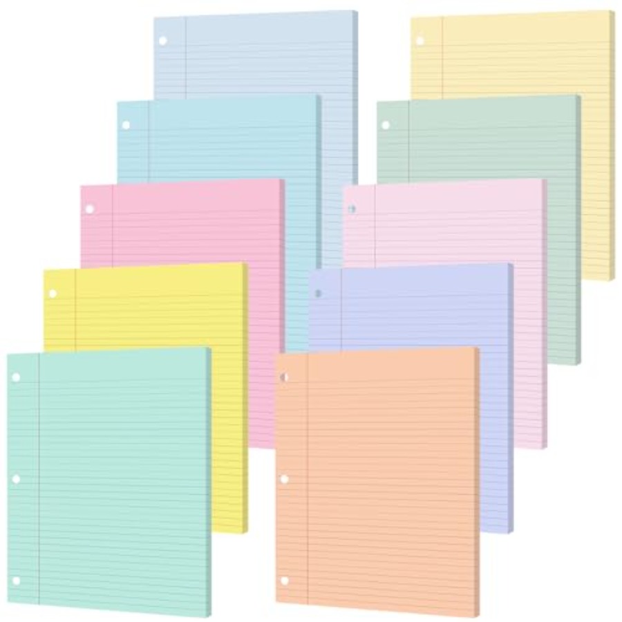 100 Sheets Loose Leaf Binder P - Paper Punch 3 Hole 리뷰 및 가격